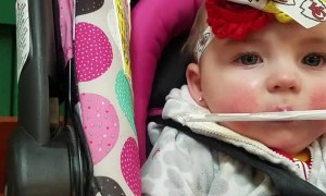 Perfect Catch From a Football Fan