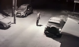 Karma Is a Dog's Best Friend