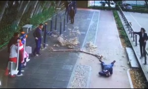 Man walking through a park struck on the head by falling tree branch