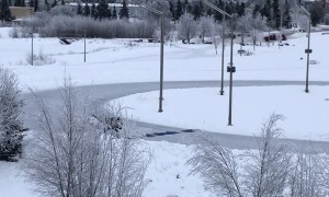 Good Samaritans Make Safe Ice Crossing for Moose