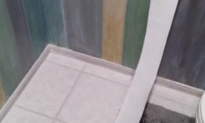 Timid Pup Caught Playing With Toilet Paper