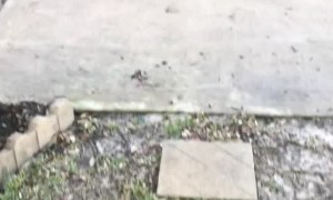 When Someone Asks to Borrow Your 10mm Socket