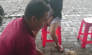 Protective Pug Shows Man Who's Boss