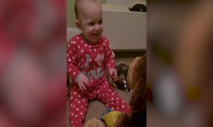 Baby Becomes Best Friends with Stuffed Animal