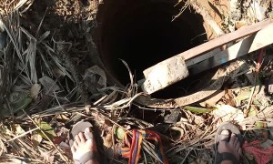 Dog Rescued from a Deep Dark Hole