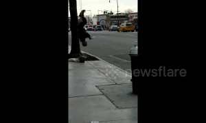 New York man gives incredible flute performance while hanging upside down