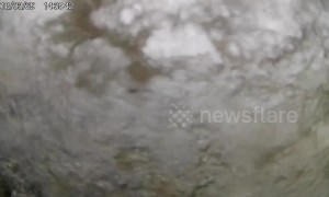 Lorry driver blinded by splash of water brakes on busy motorway