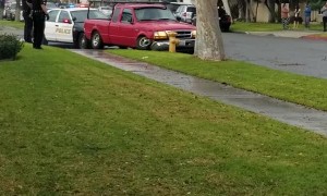 Driver Arrested After Crashing into Palm Tree, Fire Hydrant