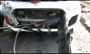 Monkey gets trapped under the hood of a car in India and has to be rescued