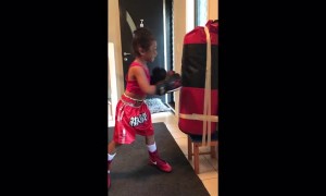 4-year-old boxing prodigy shows off some impressive skills