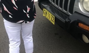 Bird Collides with Cars Two Times