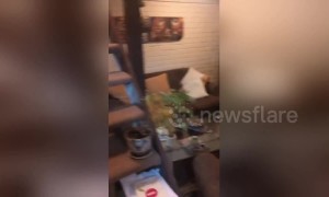 Terrifying video shows home shaking in 6.7-magnitude Chile quake