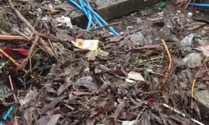 Irrigation Channel Completely Blocked by Garbage