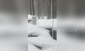 Winter Storm Harper blankets Ohio