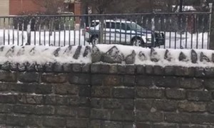 Cop Cruiser Doing Doughnuts