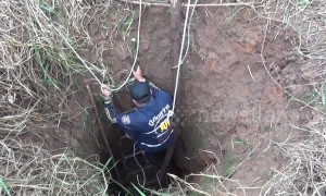 Heartwarming moment mother dog and puppy are rescued from abandoned well after crying for help for three days