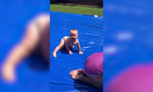 DIY Slip and Slides | Funny Fails Compilation