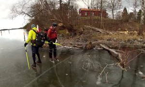 Wild boar heroically rescued from frozen lake