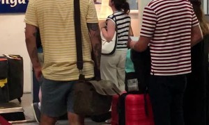 Chicken Lines up in Airport