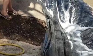 Family Create Giant Slide for Summer Fun