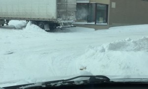 Trucker Struggles with Tight Right Turn