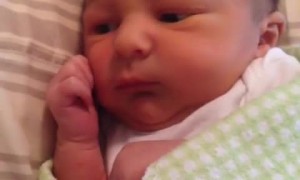 Swaddled newborn curiously examines his new environment