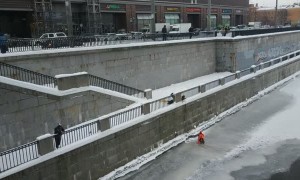 Waterfowl Saved From Freezing