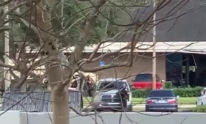 SWAT Team Called to Bank Robbery