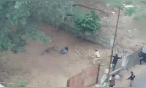 Leopard rampages through crowded Indian neighbourhood, injuring three