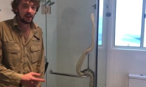 Family Find Snake in Their Shower
