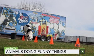 rumbleTV - Episode #3