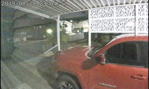 Cat Plays Peek-A-Boo with Security Camera