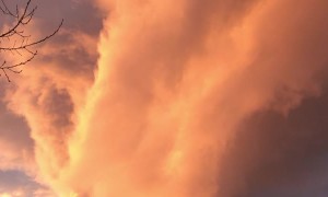 Fire Tornado Cloud Lights up Morning Sky