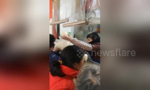 Crowds in China gather to buy traditional pastries for 'Little New Year' festival