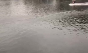 Guy Biffs it Trying New Water Rail