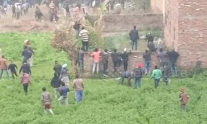 Terrifying moment leopard goes on rampage across Indian city