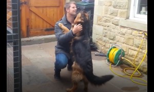 Excited dogs literally crying out in happiness!