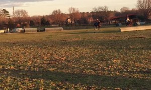Silly Horse Smiles for the Camera