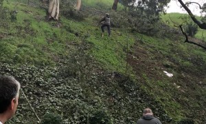 Plane Fuselage Lands in Suburban Backyard