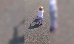 Cutest Kids in Strollers