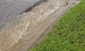 Massive Flooding Causes Sinkholes in Australian Suburb