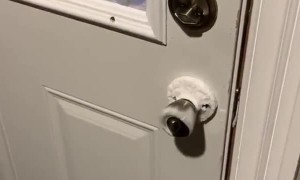 Doorknob freezes from the inside during Chicago polar vortex