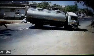 Fast-thinking truck driver makes amazing swerve to avoid cow in the road