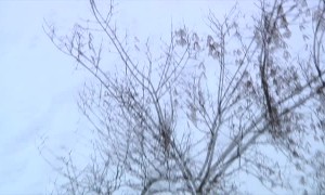 Snowboarding Off of a Roof Fail