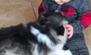 Puppies and babies are the perfect combo!