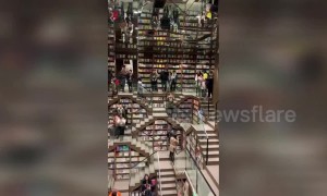 A book lover's dream? Incredible book shop opens in Chinese mountain city