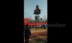Chinese lion dancer falls off high platform on truck after failing somersault