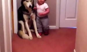 Toddler Terrified of Vacuum Runs to Dog for Protection