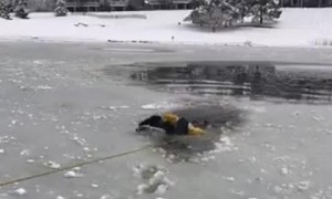 Firefighters rescue dog trapped in ice