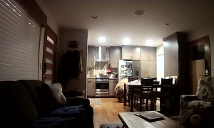 Bears Break-in and Find the Fridge